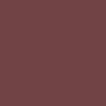  Deep Coffee (Roast Coffee) color #704241