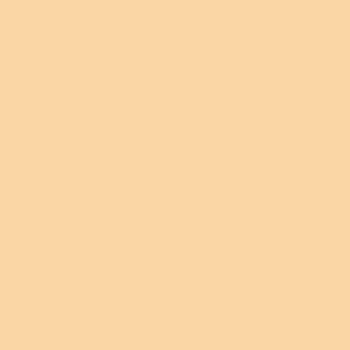  Deep Champagne color #FAD6A5